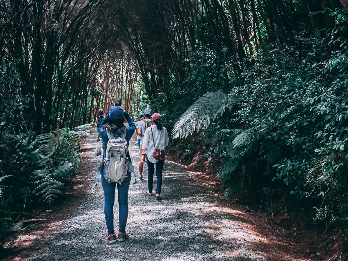 people with backpacks walking along a path