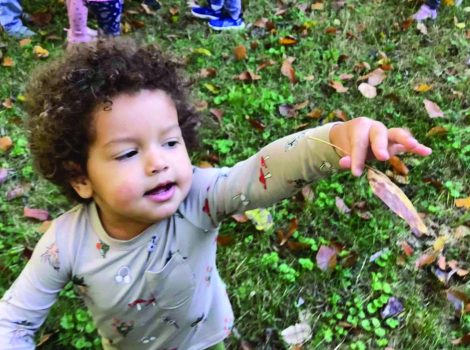 curly haired toddler reaching toward a falling leaf