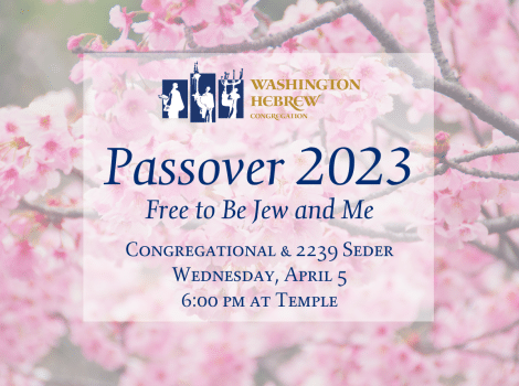Passover 2023 - Free to Be Jew and Me overlaid on a photo of cherry blossoms