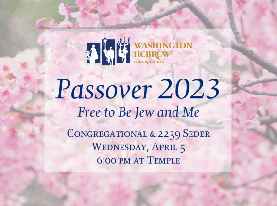 Passover 2023 - Free to Be Jew and Me overlaid on a photo of cherry blossoms