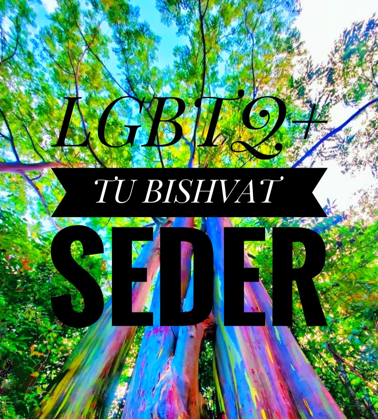 LGBTQ+ Tu Bishvat Seder over picture of a rainbow eucalyptus tree