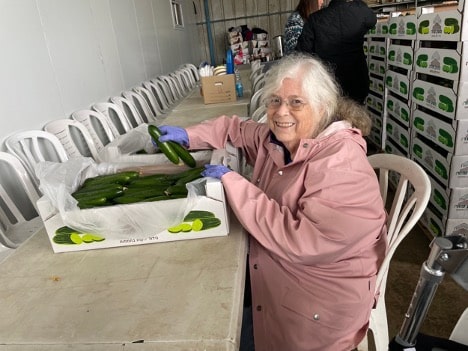 older woman sits at a table packing cucumbers