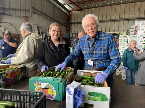 Older man and middle-aged woman pack cucumbers