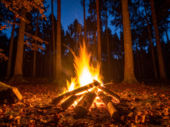 bonfire
