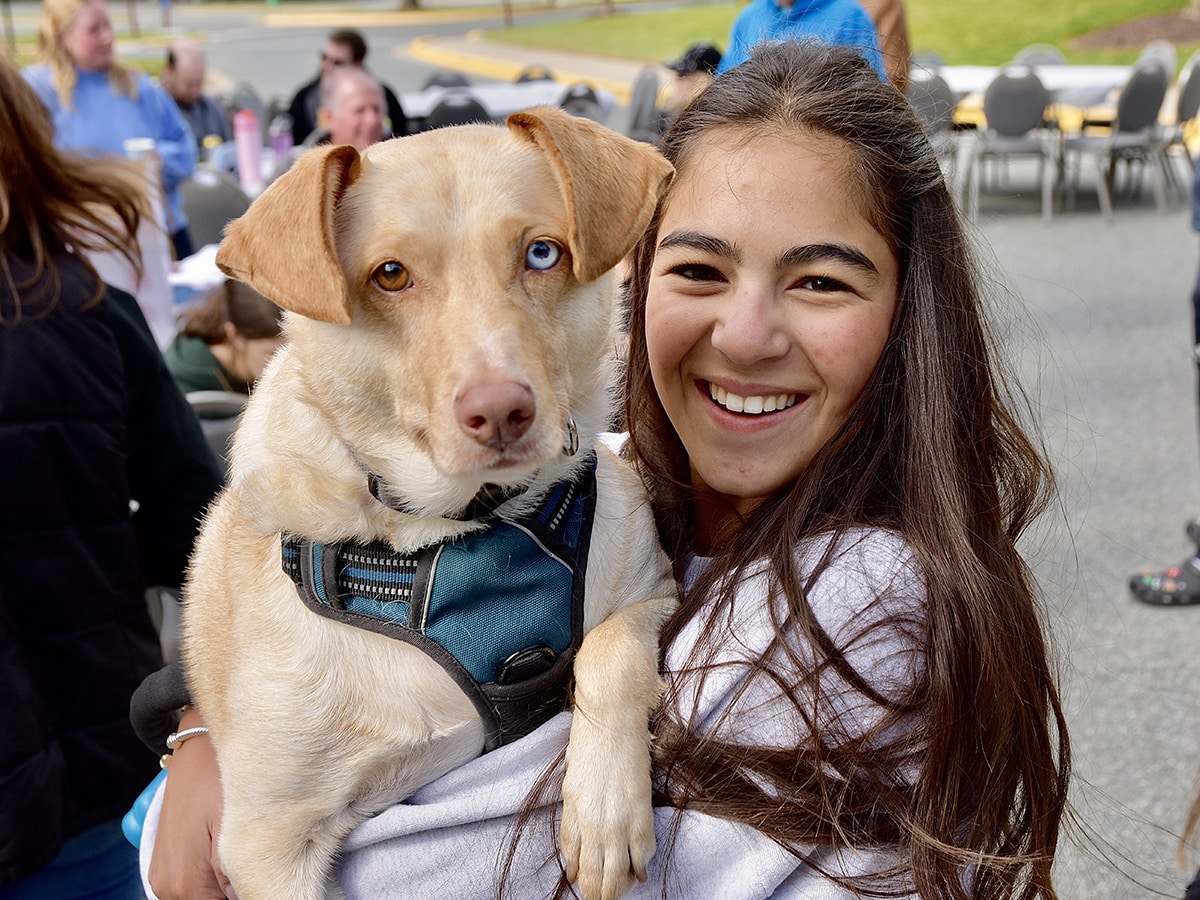 teenage girl holds a yellow colored dog with one blue eye and one brown eye